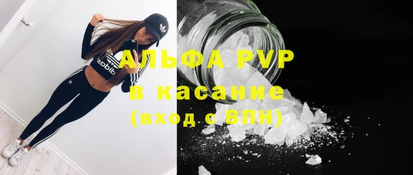 прущие крисы Надым