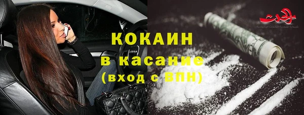 шишки Михайловка