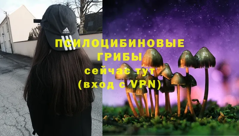 Псилоцибиновые грибы Magic Shrooms  Унеча 