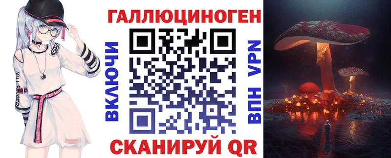 закладка  Унеча  Псилоцибиновые грибы Psilocybine cubensis 