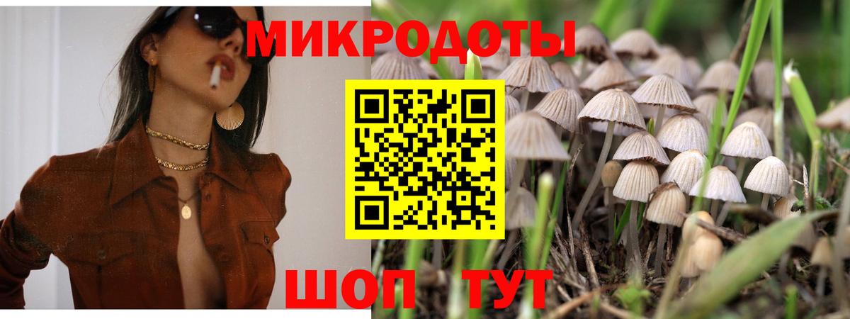 Псилоцибиновые грибы Magic Shrooms  наркотики  Унеча  Вход с VPN 